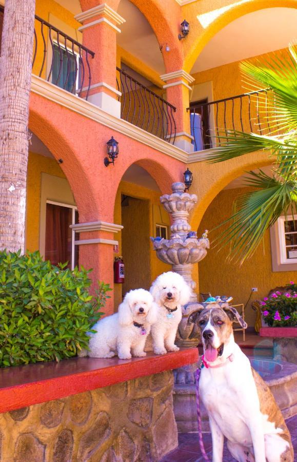 Hotel Angra โลเรโต ภายนอก รูปภาพ